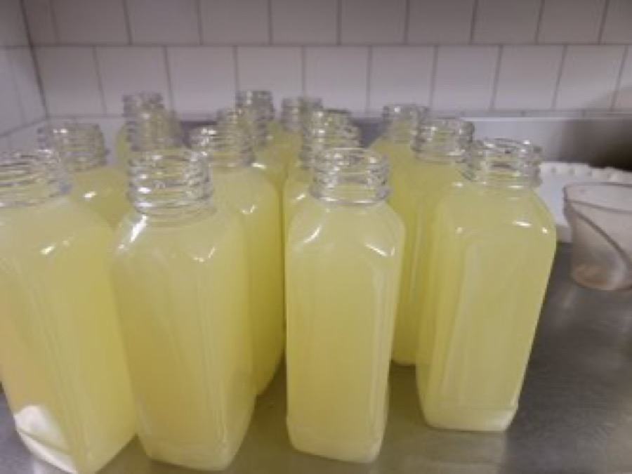 Fresh House Lemonade